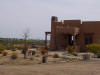 P3240065 Wild Coyote.jpg (98565 bytes)