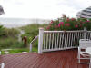 P7080184.jpg (480485 bytes)