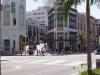 P8120203.jpg (221121 bytes)