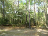 IMG_3857.jpg (350973 bytes)