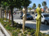 IMG_5004.jpg (355113 bytes)