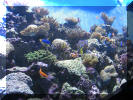 IMG_6398.jpg (384271 bytes)