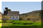 03_2010_Spring_Tr_220.jpg (286947 bytes)