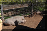 03_2010_Spring_Tr_223.jpg (367002 bytes)