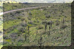 03_2010_Spring_Tr_233.jpg (319895 bytes)