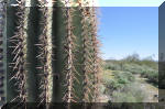 03_2010_Spring_Tr_235.jpg (272282 bytes)