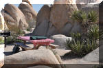 03_2010_Spring_Tr_243.jpg (349097 bytes)