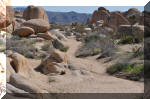 03_2010_Spring_Tr_249.jpg (324281 bytes)