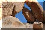 03_2010_Spring_Tr_261.jpg (331111 bytes)