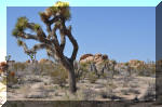 03_2010_Spring_Tr_280.jpg (282406 bytes)
