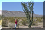 03_2010_Spring_Tr_298.jpg (301340 bytes)
