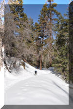 DSC_0275.jpg (307317 bytes)