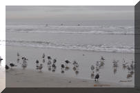 DSC_0842.jpg (167268 bytes)