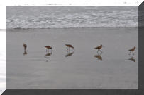 DSC_0854.jpg (163683 bytes)