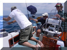 DSCN3119.jpg (248544 bytes)