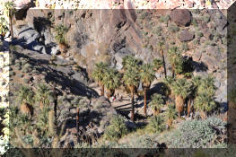 DSC_1046.jpg (583255 bytes)