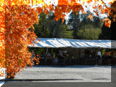 DSCN3757.jpg (499584 bytes)