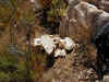 25 Rocks at cache.JPG (130291 bytes)