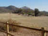 34 Iron Mtn from Ellie Ln.JPG (88010 bytes)