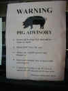 53 Pig advisory.JPG (49432 bytes)