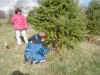 P1010025 Jake cutting tree mal watching.JPG (129277 bytes)