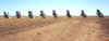 15 Cadillac Ranch 2.jpg (41036 bytes)