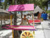 l & vender cart.JPG (94972 bytes)