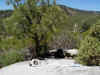 20 rest spot.JPG (116441 bytes)