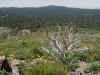 11 view from peak 1.JPG (113966 bytes)