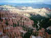 26_Bryce_Cyn_NP_Shot.jpg (41071 bytes)