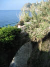 IMG_3000.JPG (1118653 bytes)