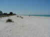 22 beach looking south.JPG (54667 bytes)