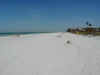 23 beach looking north.JPG (47805 bytes)