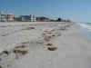 37 hotel and beach.JPG (65044 bytes)