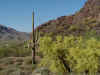 21 cactus view.JPG (89717 bytes)