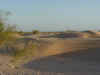 38 dune scene.JPG (57082 bytes)