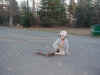 P1010034 Jake boarding 2.JPG (89599 bytes)