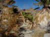 12 First oasis.jpg (113165 bytes)
