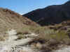 36 up the AS trail.jpg (95496 bytes)