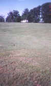 13 The Grassy Knoll.jpg (50476 bytes)