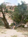 15_Lorri__Zion.jpg (47433 bytes)